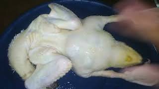 Matando Un Pato Para Cocinarlo En La Cocina