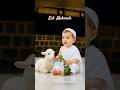 Cute Baby With Sheep Reciting Eid Takbeer Shorts Eidmubarak Hajj Takbeer Aibaby Eiduladha 