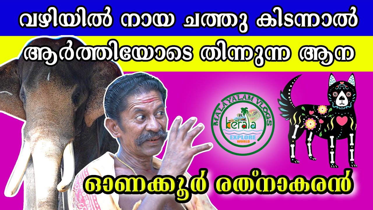 MALAYALAM VLOGS | ONAKKOOR RATHNAKARAN| ELEPHANT TRAINER| STORY |POLAKULATHVISHNUNARAYANAN | PART 02