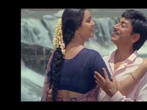 South Geetha wet song