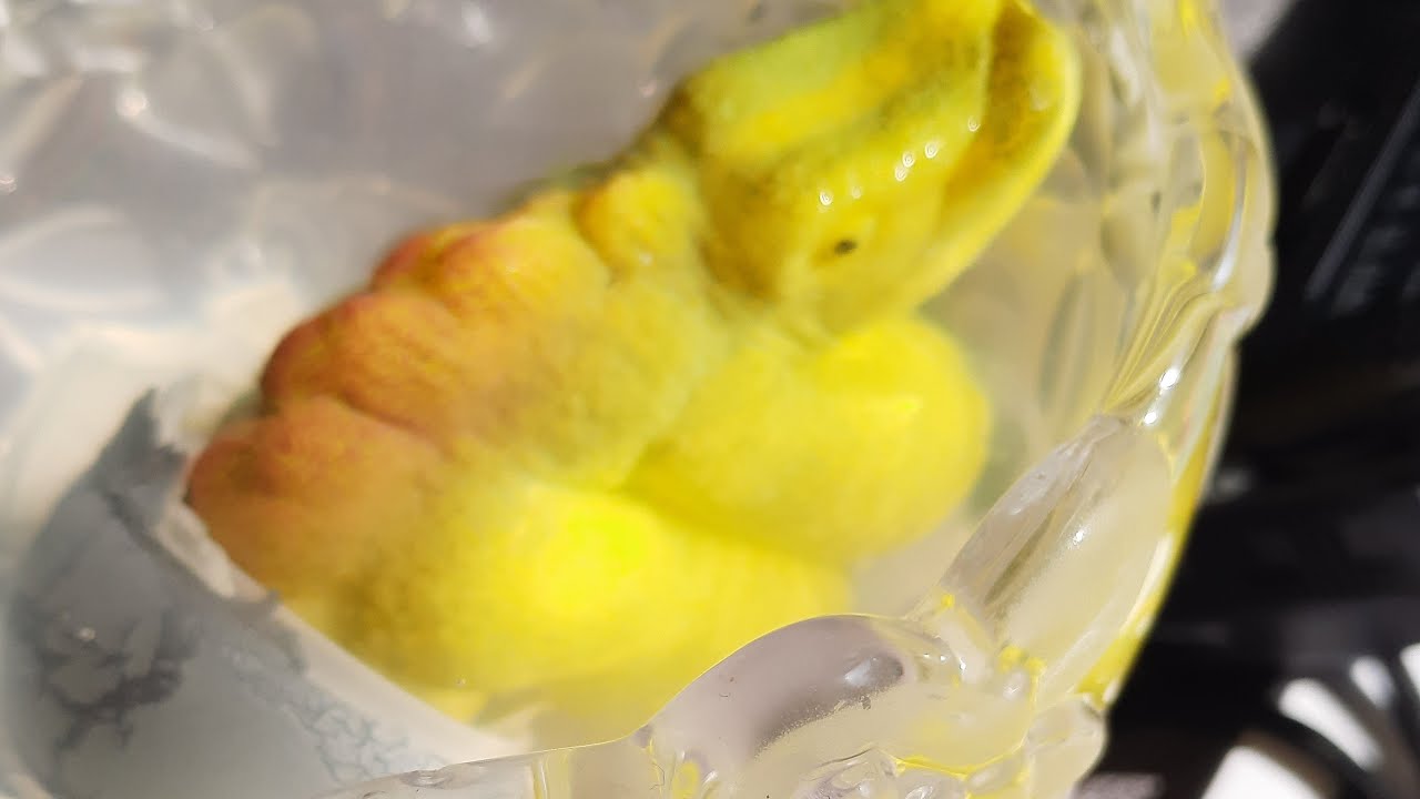 Wiosna - dinozaur się wygrzewa...