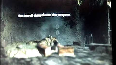 modded controller COD 5 WAW