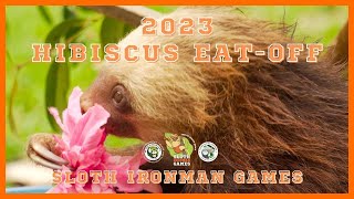 GAME 2: Hibiscus EatOff | 2023 Sloth Ironman Games