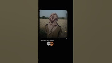 مقطع قرآن || ستوريات قران (تلاوة هادئه) حالات واتس اب قران- والله يريد أن يتوب عليكم -ستوري ديني 💚