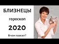 Близнецы Гороскоп на 2020 год \ В ЧЕМ ПОВЕЗЕТ? \ гадание 2020 \ расклад 12 домов гороскопа