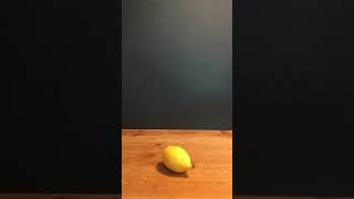 Help I Accidentally Summoned A Lemon Youtube
