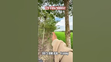 #shorts 5 công 8 đất ruộng giá mềm xèo