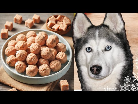 Tuna Dog Treat Gummies 