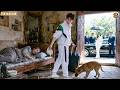 Raised Adopted Son 20 Years, Mocked Like Trash, Left Dying; Reborn Billionaire, He Takes Revenge