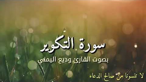سورة التكوير بصوت القارئ وديع اليمني