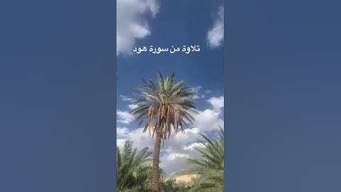 دحيم الحماد ١٤٤٤هـ تلاوة من سورة هود  منظر من قرية الضرم