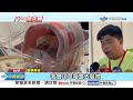 蜜袋鼯裝&quot;草莓盒&quot;販售?! 寵物展挨轟&quot;虐待動物&quot;│中視新聞 20240520