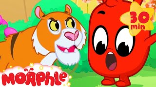 the animals get mad my magic pet morphle cartoons for kids morphle tv mila and morphle