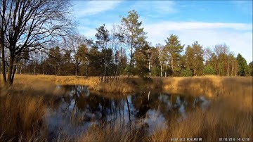 X380+GIT2+G 2D@Brobbebies