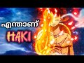 എന്താണ് Haki? | Types of Haki | Powers &amp; Weakness Malayalam | One Piece