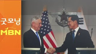 한미 국방장관 "북한 비핵화 진전 따라 연합훈련 결정"