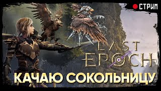 Last Epoch: Сокольница с минами (капканами) и не только...