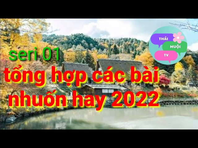 TỔNG HỢP CÁC BÀI NHUỐN HAY 2022 #seri01||thái muội tv class=