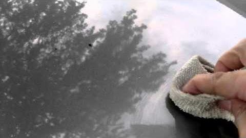 How to remove tree sap