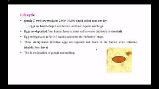 intestinal nematode / microbiology