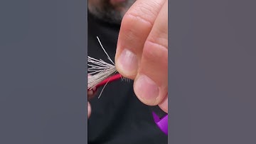 The Most Overlooked Hackle Option?