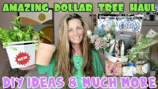 DOLLAR TREE HAUL| UNBELIEVABLE NEW ITEMS| DIY IDEAS & MORE| JUNE 27