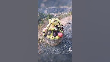اللهم اجعل القرآن الكريم ربيع قلوبنا ونور صدورنا