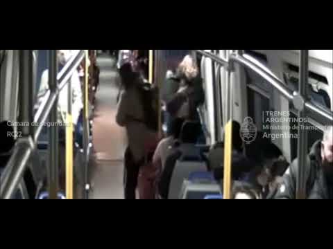 Una pasajera detenida por arrebatarle en el tren el celular a otra mujer y la golpeó