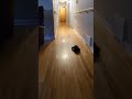 28 1:16 Remote Control Car Lights and Sound 2.4GHz Remote Control Jeep