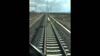 ناقة تقطع سكة قطار الشرقية - الرياض