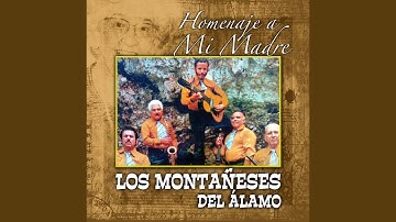 Amor de Madre