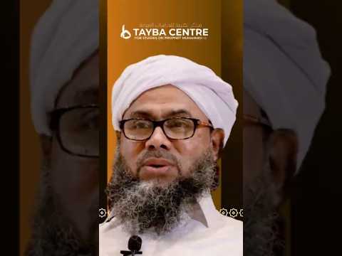 മുത്ത്മാണിക്യമാണ് വ ഹാമീം | അലി ബാഖവി ആറ്റുപുറം | SEERATUNNABI International Conference| taybacentre