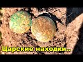 Удачный коп на поле возле деревни! Царские находки! Чешуя!