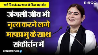 जंगली जीव भी झूमने लगे महाप्रभु के साथ संकीर्तन में | Devi Chitralekhaji