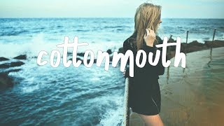 Matt Van - cottonmouth (Lyric Video)