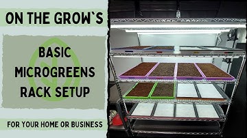 Basic Microgreen Rack Setup!!