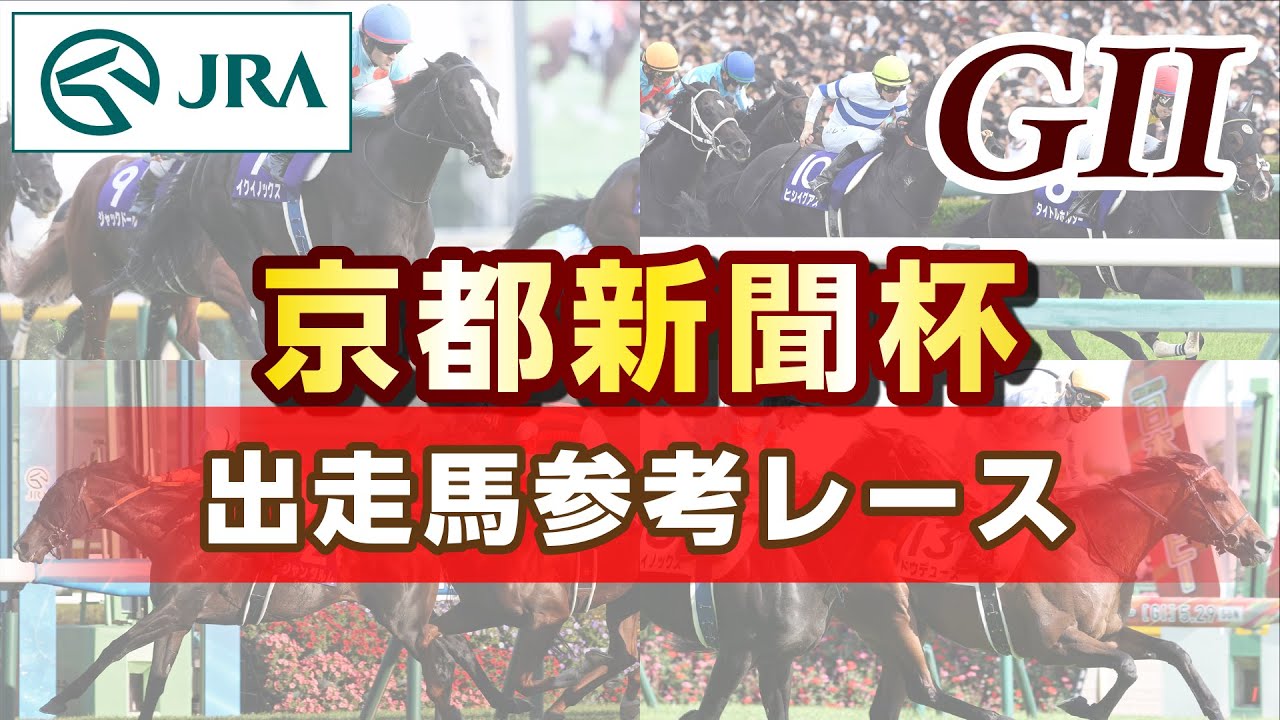 【参考レース】2024年 京都新聞杯｜JRA公式