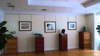 Art Hanging Systems - Moderna Rail - Systematic Art