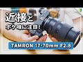 TAMRON 17-70mm F/2.8の作例レビュー！ボケ味と近接性能が凄いSONY APS-C対応ズームレンズ