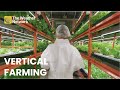 What is vertical farming and how does it reduce water usage