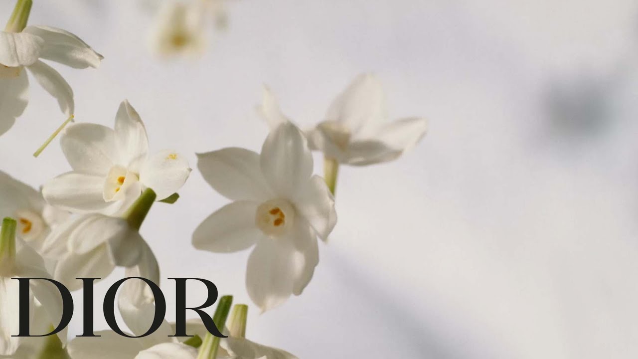 Nước hoa nữ - Christian Dior J'Adore Infinissime
