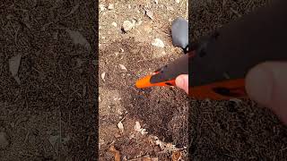 Digging for lost  Buried treasures I found a key