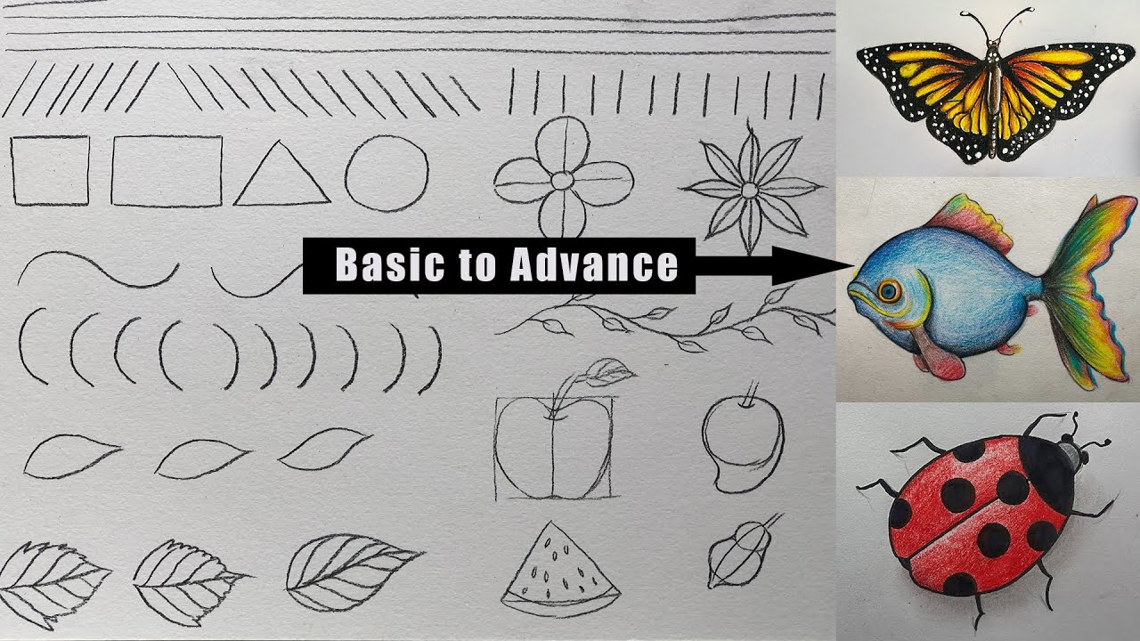 Kids Drawing Basics Week- Ages 8-12 in Lou 7/25-7/29 from 10:30-12