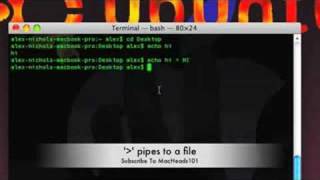 Terminal Lesson 13