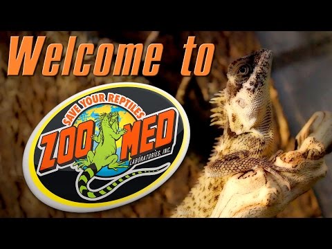 Welcome to Zoo