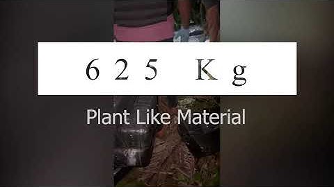 Trinidad and Tobago Police Seize 2.2 Tons of Marijuana 