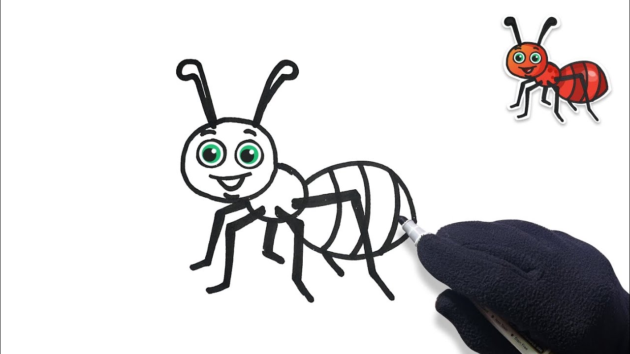Easy ant drawing 🐜 How to draw an ant Step by step drawing YouTube Easy ant drawing 🐜 How to draw an ant Step by step drawing YouTube