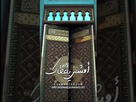 أنشودة يا رسول الله كم أحلم لو أني 