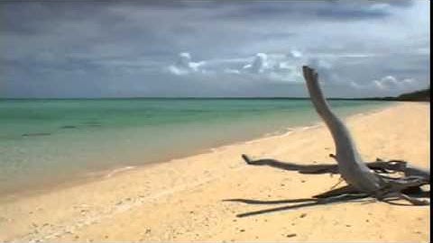 تلاوة القارئ يحيى الأركاني سورة الفتح