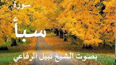 سورة سبأ بصوت الشيخ/ نبيل الرفاعي 34